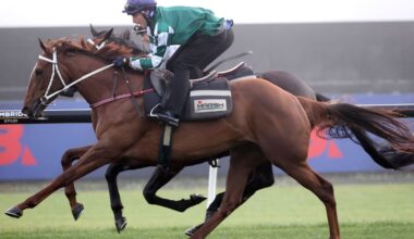 Horse racing: Well Written camp not making excuses even after they find one – Mick On Monday