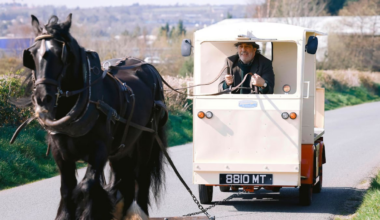 Ciarán Hinds on Sam Neill, East of Eden, and his quirky Irish road movie