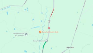 'Absolute carnage': Two dead, one seriously injured in Dairy Flat highway crash - NZ Herald