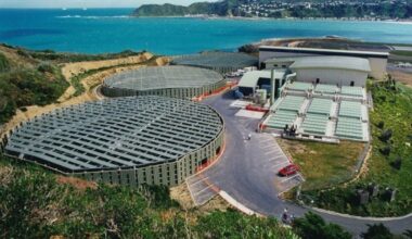 Moa Point disaster: Greater Wellington lays charges against city council and Tiaki Wai