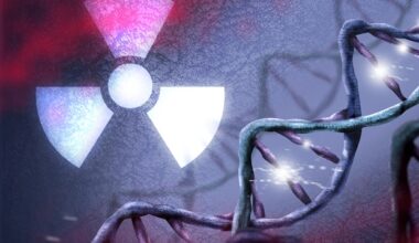 Mini-GRID radiotherapy limits cellular senescence in glioma models