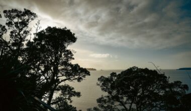 Former EA chairwoman joins community push to cut Mahurangi power outages
