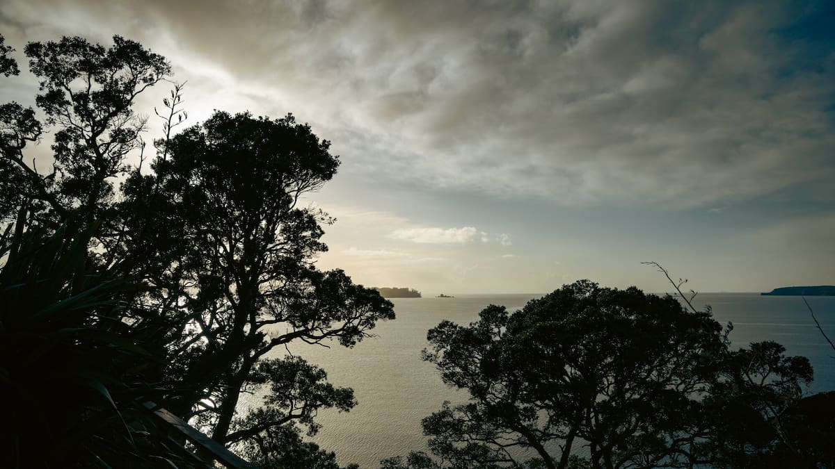 Former EA chairwoman joins community push to cut Mahurangi power outages