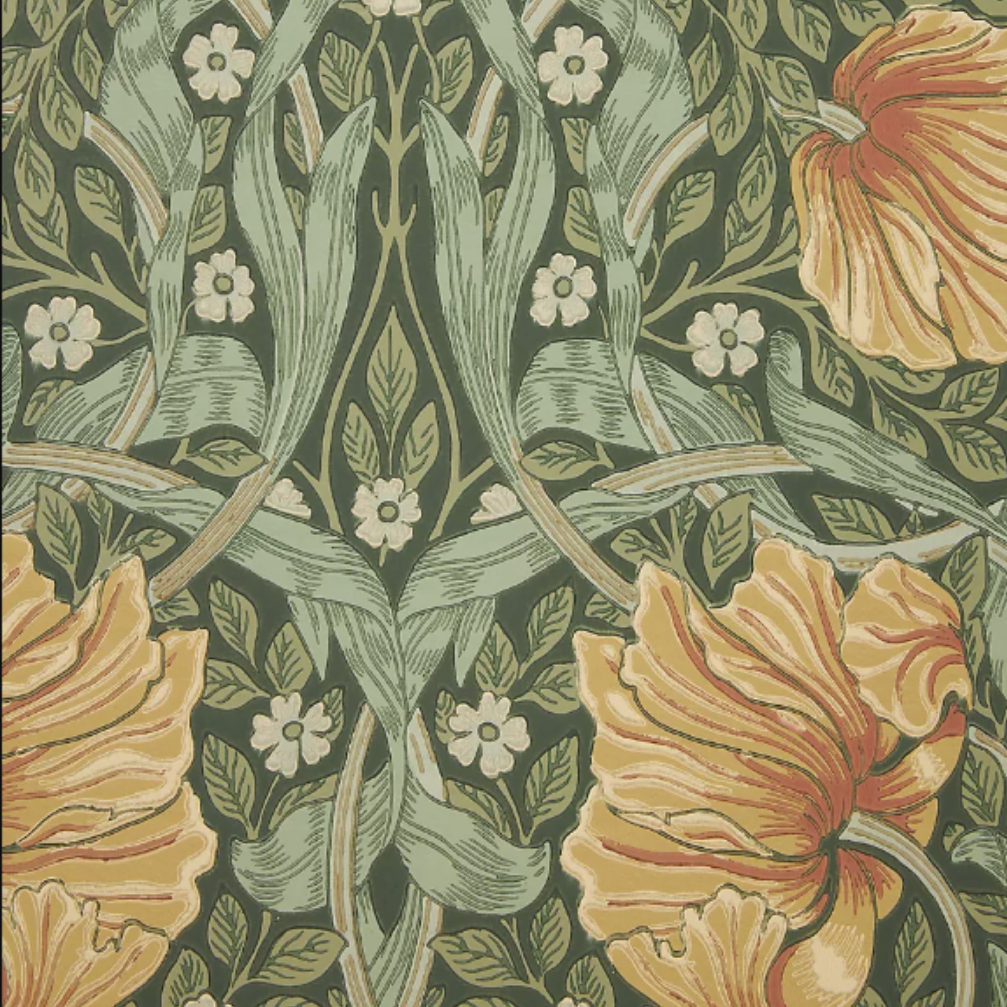 Morris & Co. Pimpernel Floral Wallpaper