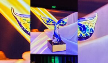 Business awards handed out in Saint John