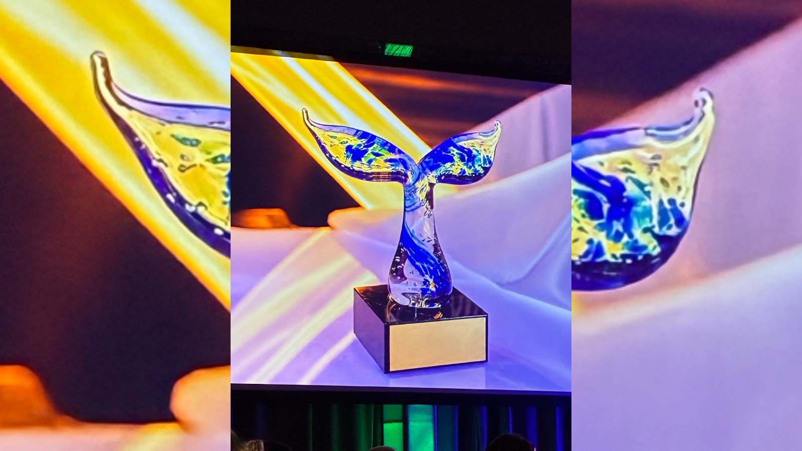 Business awards handed out in Saint John