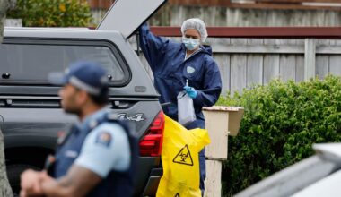 Papatoetoe triple tragedy: Two children identified among three found dead at home