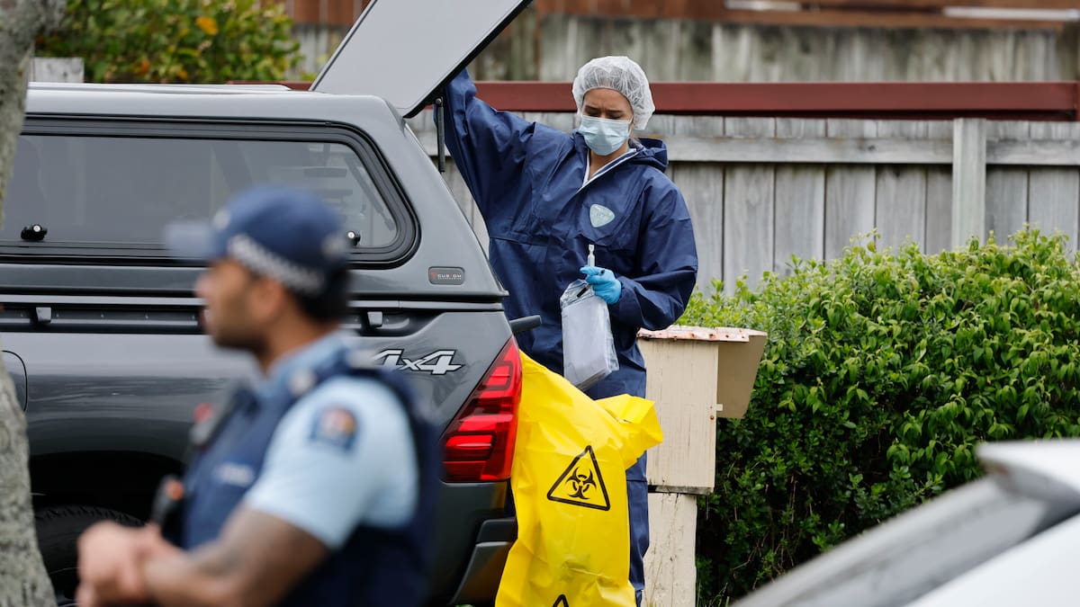 Papatoetoe triple tragedy: Two children identified among three found dead at home
