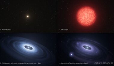 This artist’s concept imagines the evolution of a Sun-like star (1) into an aging red giant (2) and then a small, bright white dwarf surrounded by a disk of its expelled outer layers (3), from which a second-generation planet forms (4). Credit: NASA/ESA/Leah Hustak (STScI)