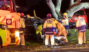 Te Atatū crash: Two people seriously injured after car hits election signs in West Auckland