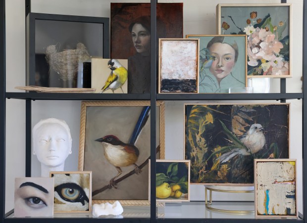Art by Celeste Duffy in her studio in Sebastopol on Monday, October 5, 2026. (Christopher Chung/The Press Democrat)