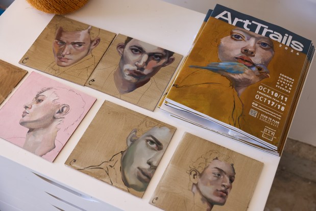 Art by Celeste Duffy in her studio in Sebastopol on Monday, October 5, 2026. Duffy's art is featured on the cover of this year's Art Trails catalog. (Christopher Chung/The Press Democrat)