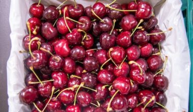 Early cherry harvest expected as warm spring boosts crop prospects