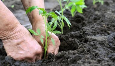 Legionnaires’ disease: The gardening risk that can turn deadly; what you need to know