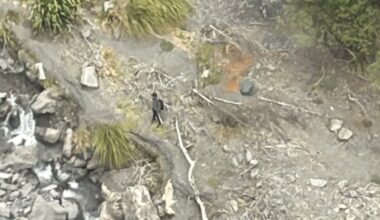 Air Force shares pictures from rescue of Hawke’s Bay teen missing after school hike in Ruahine Forest Park