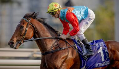 Wide barrier doesn’t worry champ’s camp as much as Sydney weather