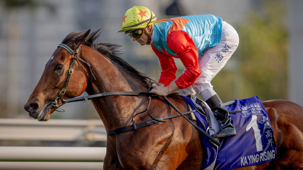 Wide barrier doesn’t worry champ’s camp as much as Sydney weather