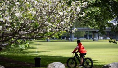 Weather: Chilly nights and frosty starts forecast across parts of NZ