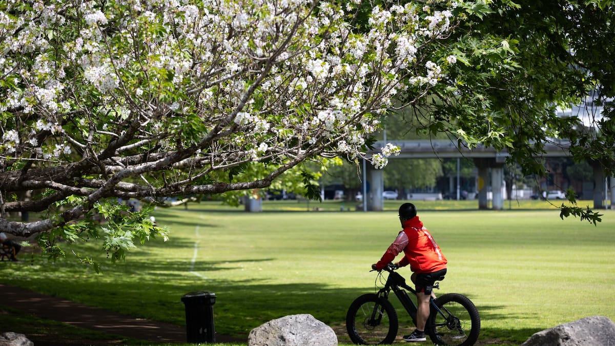 Weather: Chilly nights and frosty starts forecast across parts of NZ