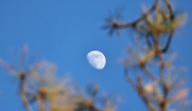 Why can you see the moon during the day? This week is the perfect time to find out