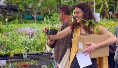 What’s on this weekend in Auckland: Short-film festival, seedling sale, vintage market and more