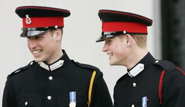 Prince Harry wants to reconcile with Prince William but says others oppose it