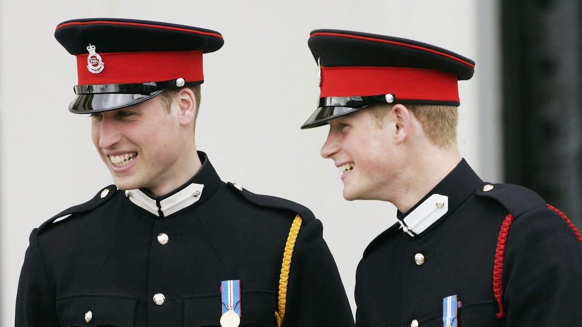 Prince Harry wants to reconcile with Prince William but says others oppose it