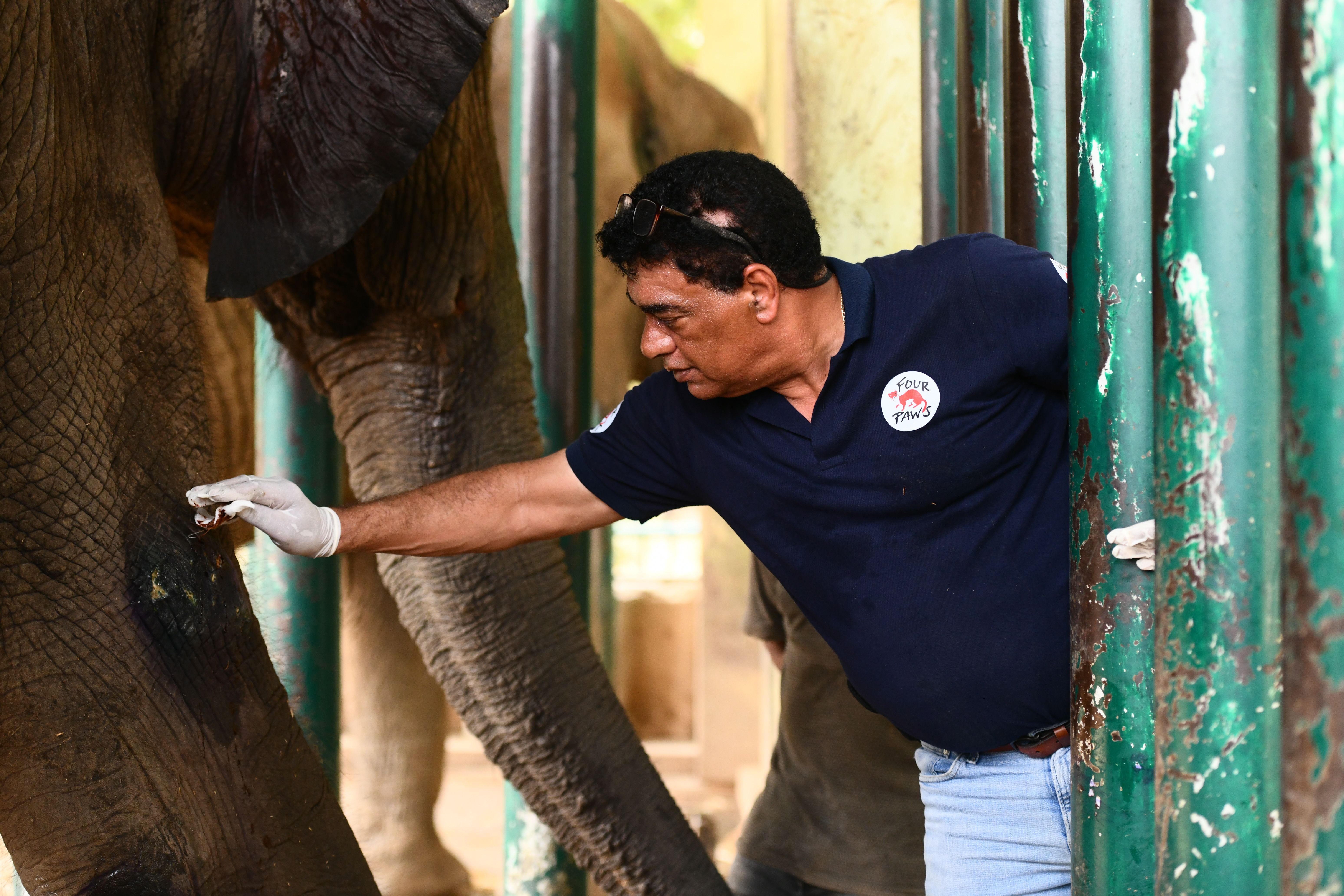 Welfare check on elephant Madhubala at the new enclosure in Karachi Safari Park, Pakistan with Amir Khalil, Karachi, Pakistan, October 12, 2026 [Courtesy of Four Paws]