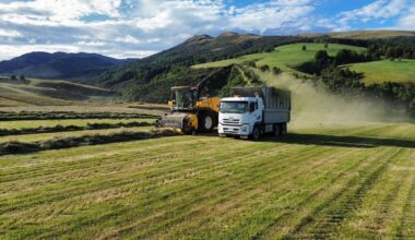Waipounamu Contracting placed in liquidation after sole director’s death owing $4.2m