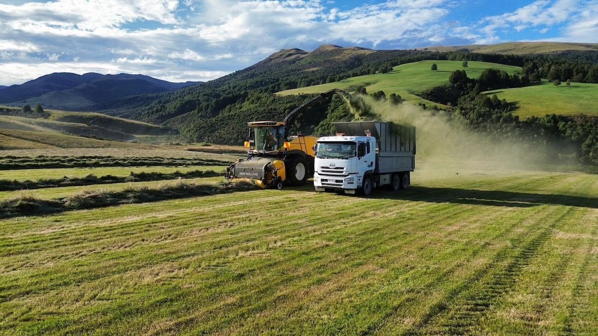 Waipounamu Contracting placed in liquidation after sole director’s death owing $4.2m
