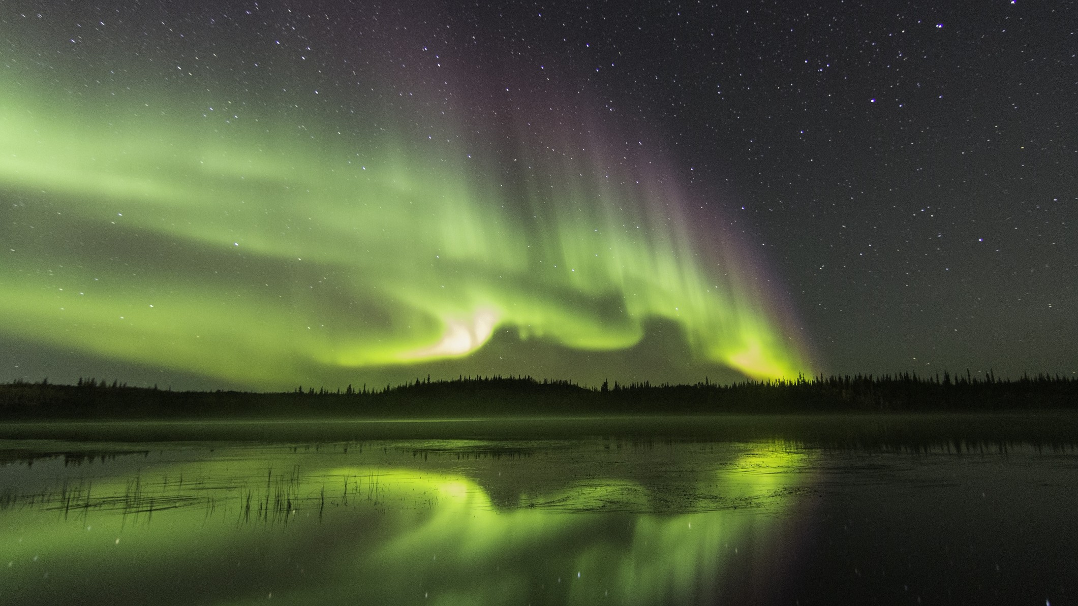 bright green auroras fill the sky and are reflected in the lake below.