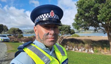 Ex-cop Steven Karehana admits stealing a police-issued gun in Whanganui