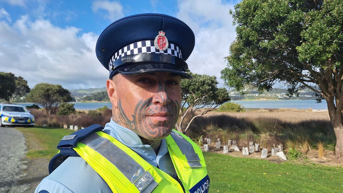 Ex-cop Steven Karehana admits stealing a police-issued gun in Whanganui