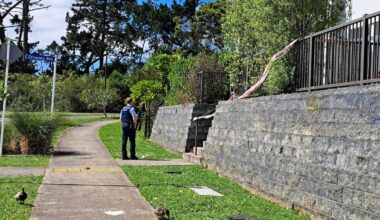 Massey siege: Man shot by police after firing weapon at officers