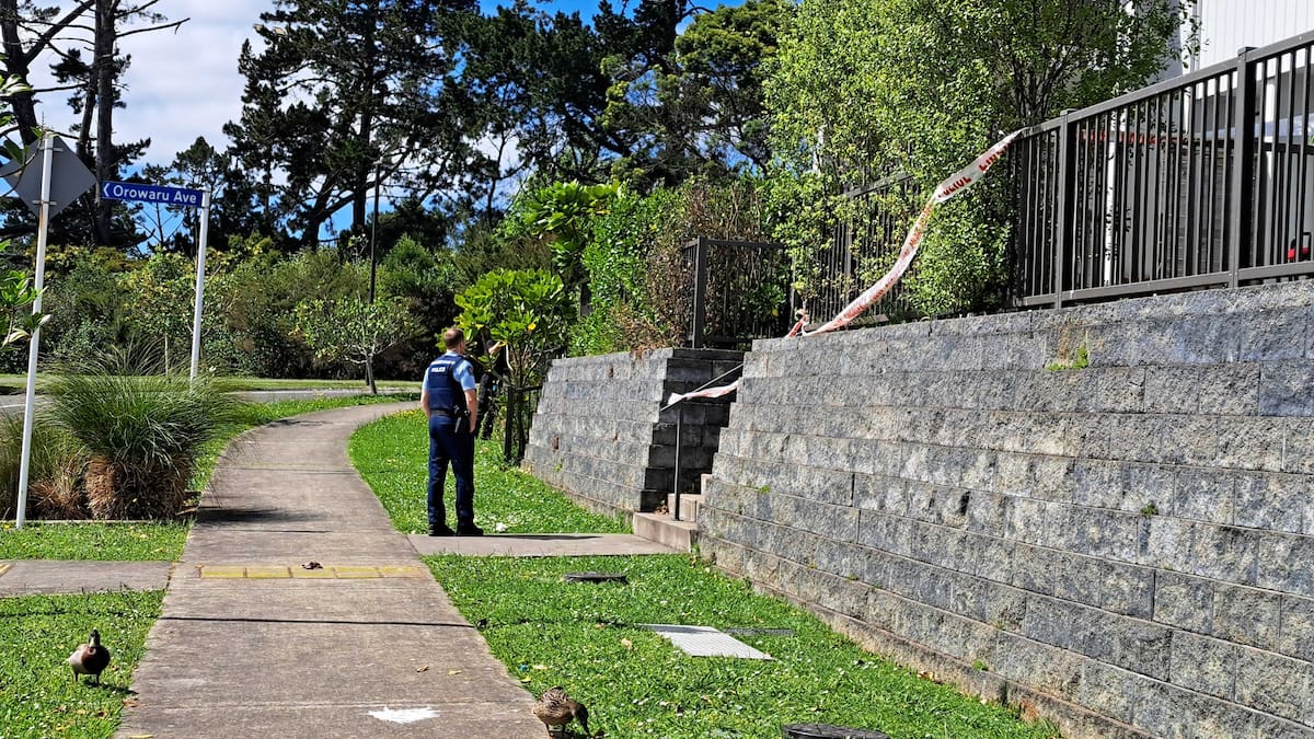 Massey siege: Man shot by police after firing weapon at officers