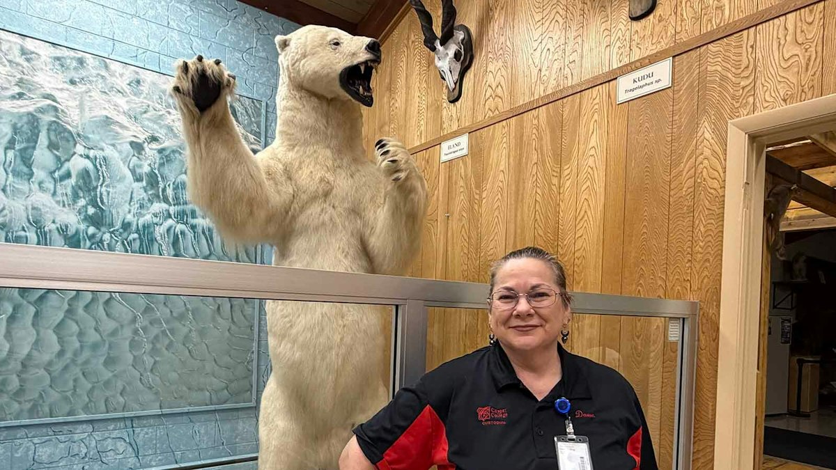 Hundreds Of Eyes: Alone After Dark With 450 Dead Animals At Casper Wildlife Museum