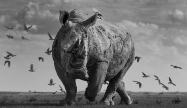 Fancy trying your hand at judging a photography competition? Cast your vote in this major monochrome contest