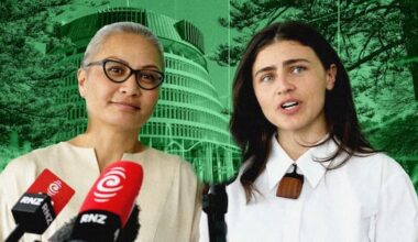 What are the Greens' tax plans