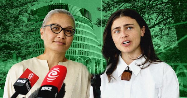 What are the Greens' tax plans