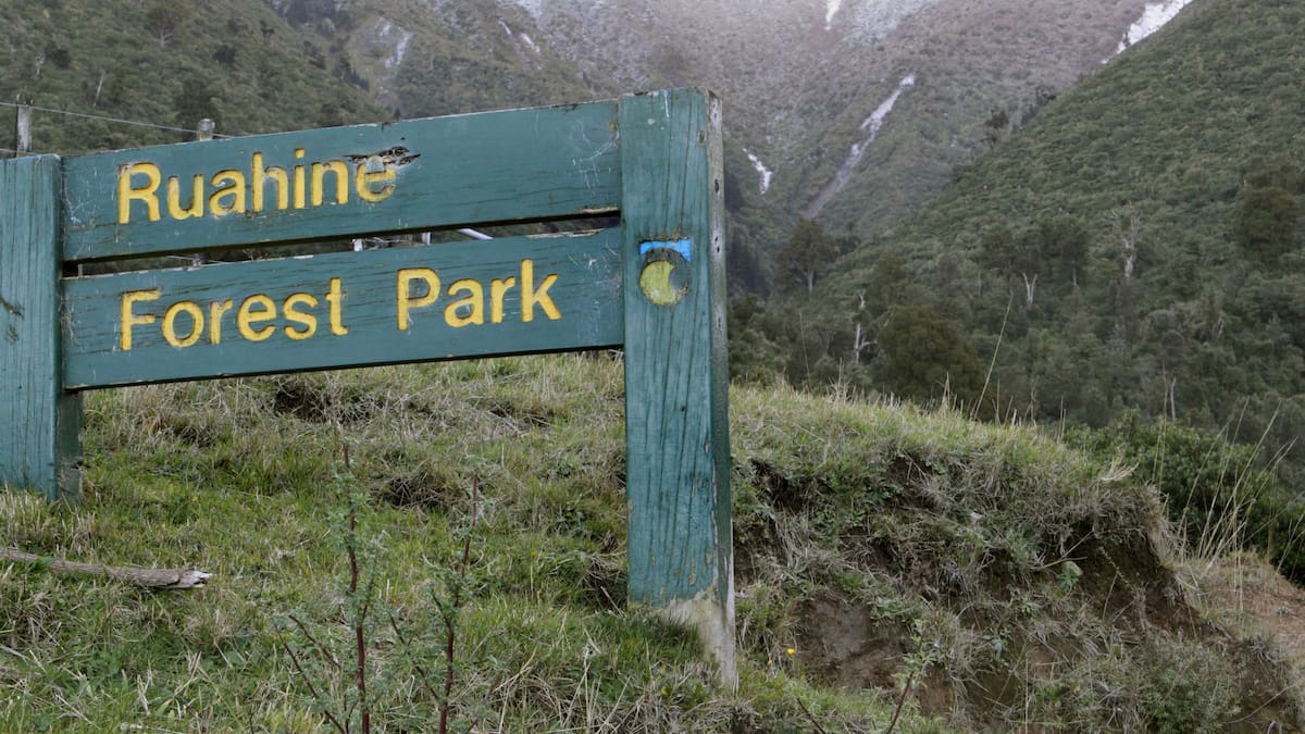 Hawke’s Bay student missing overnight from school hike found safe