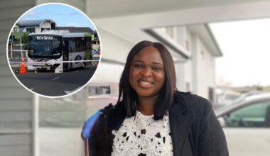 Alma Randell, bus driver who ran over and killed Olawande Braimoh in Napier, sentenced to community work and detention