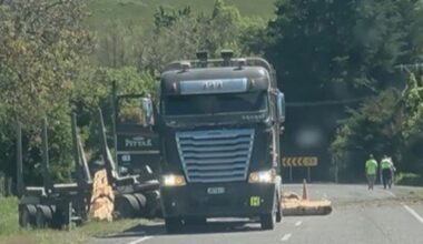 Logging truck crash near Napier spills logs over the road and into a nearby paddock