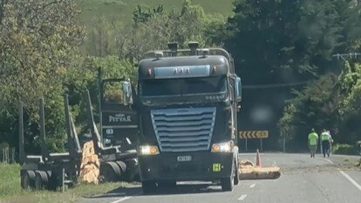 Logging truck crash near Napier spills logs over the road and into a nearby paddock
