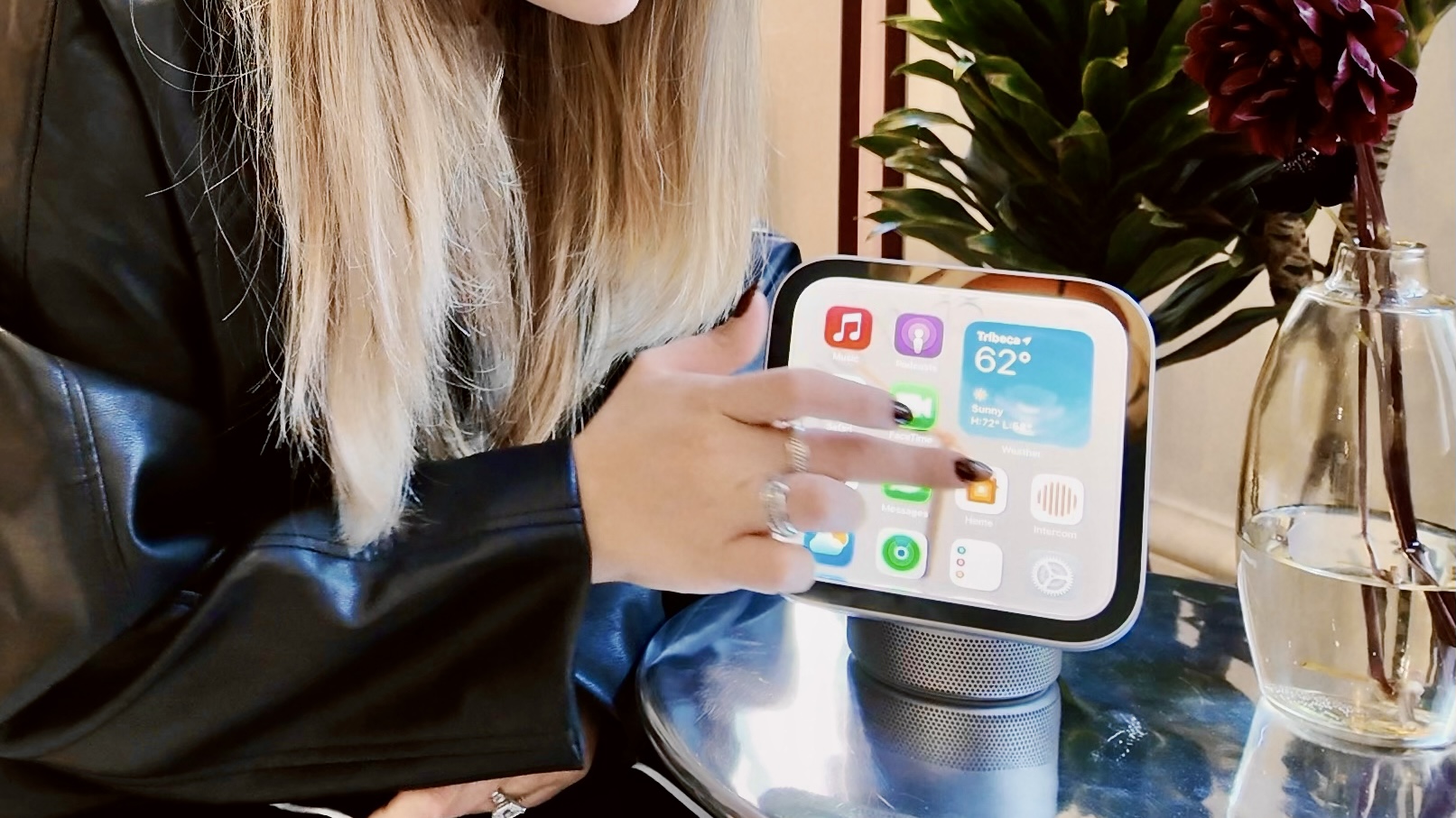 Apple HomeView