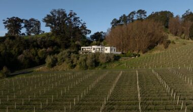 Havelock North: Luxury $4 million-plus home being sold by court order