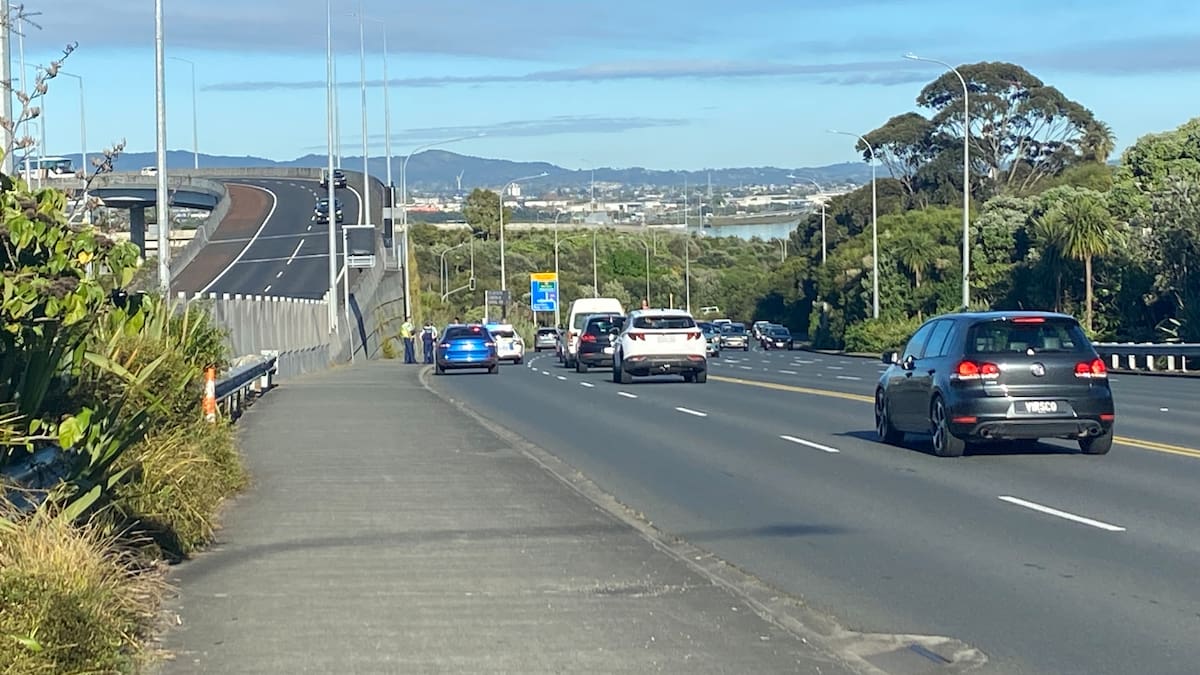 Man in custody after ‘unlawfully entering’ Auckland motorway during rush hour
