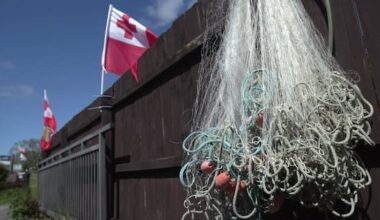 Botched deportation attempt leaves four Tongan children traumatised