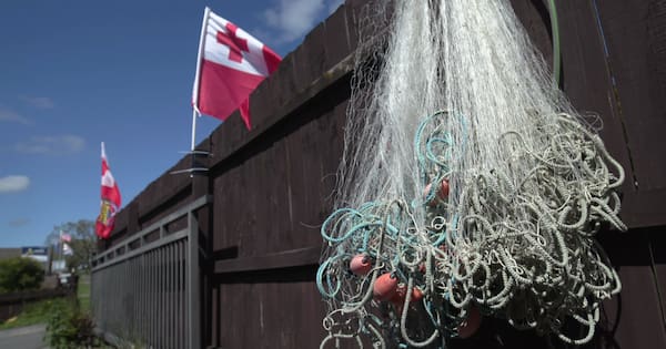 Botched deportation attempt leaves four Tongan children traumatised