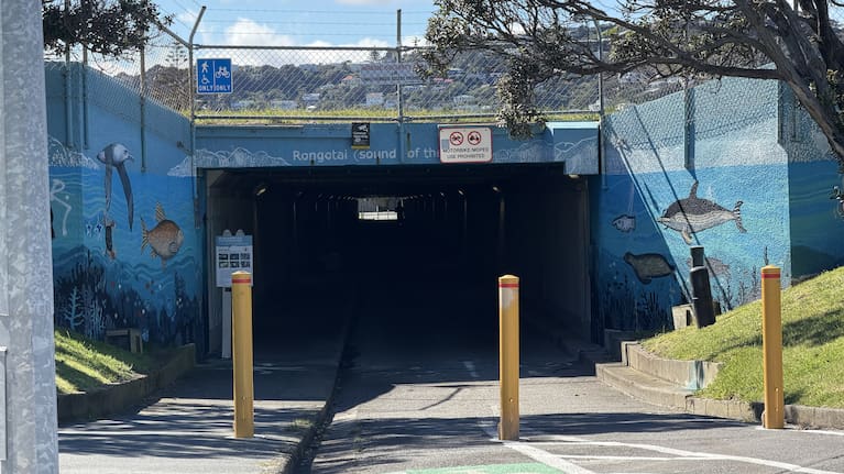 A "large pool" of human blood was found in this Wellington pedestrian tunnel on Sunday.
