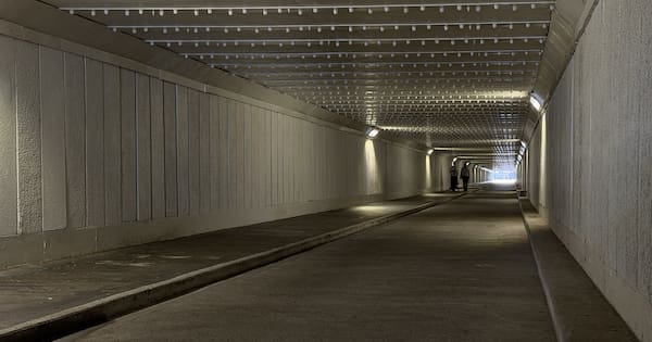 Mystery pool of blood in Wellington tunnel prompts police appeal